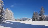 Trail Cross-country skiing Mijoux - Les louvatieres en coupant par le passage des dames - Photo 9