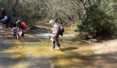 Excursión  Saint-Zacharie - Source de l’huveaune - Photo 1