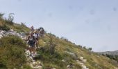 Trail Walking Andon - Les  Lys Pomponne de la montagne de Thiey - Photo 1