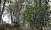 Tour Wandern La Bourboule - La Bourboule - Roche de Vendée- Rocher de l Aigle - Photo 13