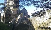 Trail Walking Toudon - FFR - la Cime des Colettes  - Photo 9