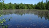 Tour Zu Fuß Umeå - Strandpromenaden - Photo 9