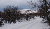 Randonnée Ski de fond Escragnolles - panoramique enneigé - Photo 2