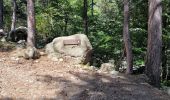 Tour Wandern Vivario - cascade  de manganello et de meli - Photo 4