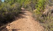 Tocht  Saint-Raphaël - Rocher l’Estérel le - Photo 16