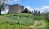 Excursión Senderismo Cheylard-l'Évêque - cheylard - la bastide - Photo 8