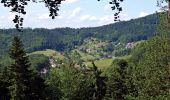 Excursión A pie Bühl - Gertelbach-Rundweg - Photo 9