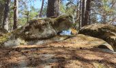 Randonnée Marche Fontainebleau - blocs - Photo 2