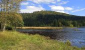 Excursión Bici de montaña Gérardmer - Gérardmer Le Honneck - Photo 3