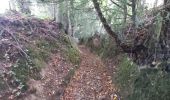 Trail Walking Manerbe - Manerbe - Photo 14