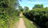 Tour Wandern Olne - Du plateau à la vallée. Olne - Photo 4