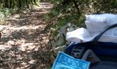 Trail Walking Signes - Le Latay R Bandol 2b - Photo 1