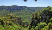 Randonnée Marche Le Rozier - corniche du Tarn et de la Jonte - Photo 5