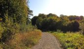 Randonnée Marche Dampleux - en forêt de Retz_82_sur les Routes de la Bruyère aux Loups et de la Chrétiennette - Photo 14