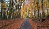 Trail Walking Nivelles - Bornival 1119 - Photo 2