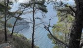 Excursión Senderismo Six-Fours-les-Plages - Sentier du littoral  - Photo 8