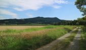 Tour Zu Fuß Lang - Hengist Kulturwanderweg Lang Lechenbergrunde - Photo 3