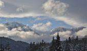 Tour Zu Fuß Azuga - Păstrăvărie Valea Azugii - sub Clăbucetul Azugii - Drumul lui Ceaușescu - Photo 1