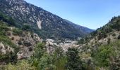 Excursión Senderismo La Cabanasse - Mois pontpedrouse après montée en train jaune  - Photo 3