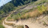 Trail Horseback riding Saint-Apollinaire-de-Rias - St Appollinaire de Rias au top 👍 - Photo 16