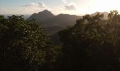 Tocht Stappen Les Trois-Îlets - Morne Gardier - Morne du Riz - Photo 4