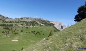 Tour Wandern Châtillon-en-Diois - Combau-TêteChevalière 05-05-2018 - Photo 9