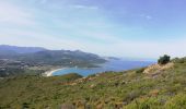 Tour Wandern Belgodère - les hauteurs de lozari (départ plage de Lozari) - Photo 8