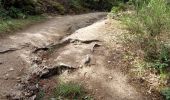 Percorso Marcia Saint-Nectaire - LES GROTTES DE CHATEAUNEUF DEPUIS LE CAMPING DU VIGINET - Photo 5