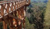 Tocht Stappen Chambost-Allières - Chambost avec forêt des expériences et belvédère - Photo 7