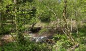 Tocht Stappen Gedinne -  Vallée De la Hulle Bourseigne la neuve - Photo 20