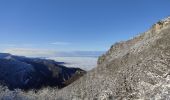 Trail Walking Beauregard-Baret - pré des marchands - Photo 1