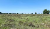 Trail Walking Spa - grand tour de la fagne de malchamps - Photo 9