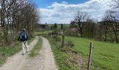 Tocht Stappen Vielsalm - Vielsalm Gouvy 17,5 km - Photo 10