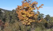 Randonnée Marche La Bastide - Mont Lachens depuis La Bastide - Photo 7