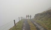 Tour Wandern West Cork - Allihies - Castletownbere - Photo 4