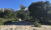 Trail Walking Marseille - Sommet de Marseilleveyre à partir des Goudes - Photo 7