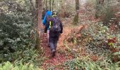 Trail Walking Clisson - Clisson Le Tail  - Photo 1