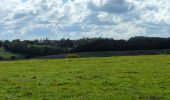 Randonnée Marche Corsaint - circuit Turley par forêt et prairie et ruisseau  - Photo 3