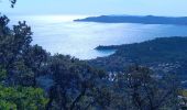 Excursión Senderismo Le Lavandou - Rando Les Balcons de Cavalière - Photo 1