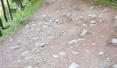 Tocht Stappen Chamonix-Mont-Blanc - Cascade du Dard Glacier du Bosson - Photo 11