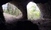 Trail Walking Léoncel - Grottes Piaroux  - Photo 5