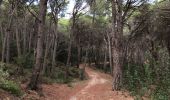 Trail Walking Begur - Begur randonnée rouge gr22 - Photo 3