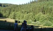 Tour Zu Fuß Büllingen - GrWandArd 15 Büchholz de pracht van het NP Eifel (PVDB) - Photo 4