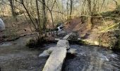 Excursión Senderismo Vresse-sur-Semois - Marche ADEPS à  Nafraiture - Photo 4