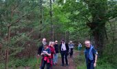 Tour Wandern Nouan-le-Fuzelier - les etangs de lévrys - Photo 8