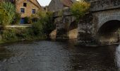 Tour Wandern Saint-Céneri-le-Gérei - Saint ceneri - Photo 5