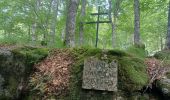 Tocht Stappen Saint-Chély-d'Aubrac - AVEYRON . AUBRAC . TOUR DES MONTS D AUBRAC N - Photo 4