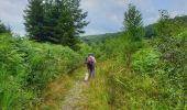 Randonnée Marche Viroinval - Balade à Oignies-en-Thiérache - Le Ry d'Alise - Photo 6