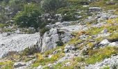 Randonnée Marche Varces-Allières-et-Risset - rocher de l'Ours 2 - Photo 2