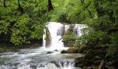 Trail Walking Mouthier-Haute-Pierre - Gorges de Nouailles - Source de la Loue - Photo 7